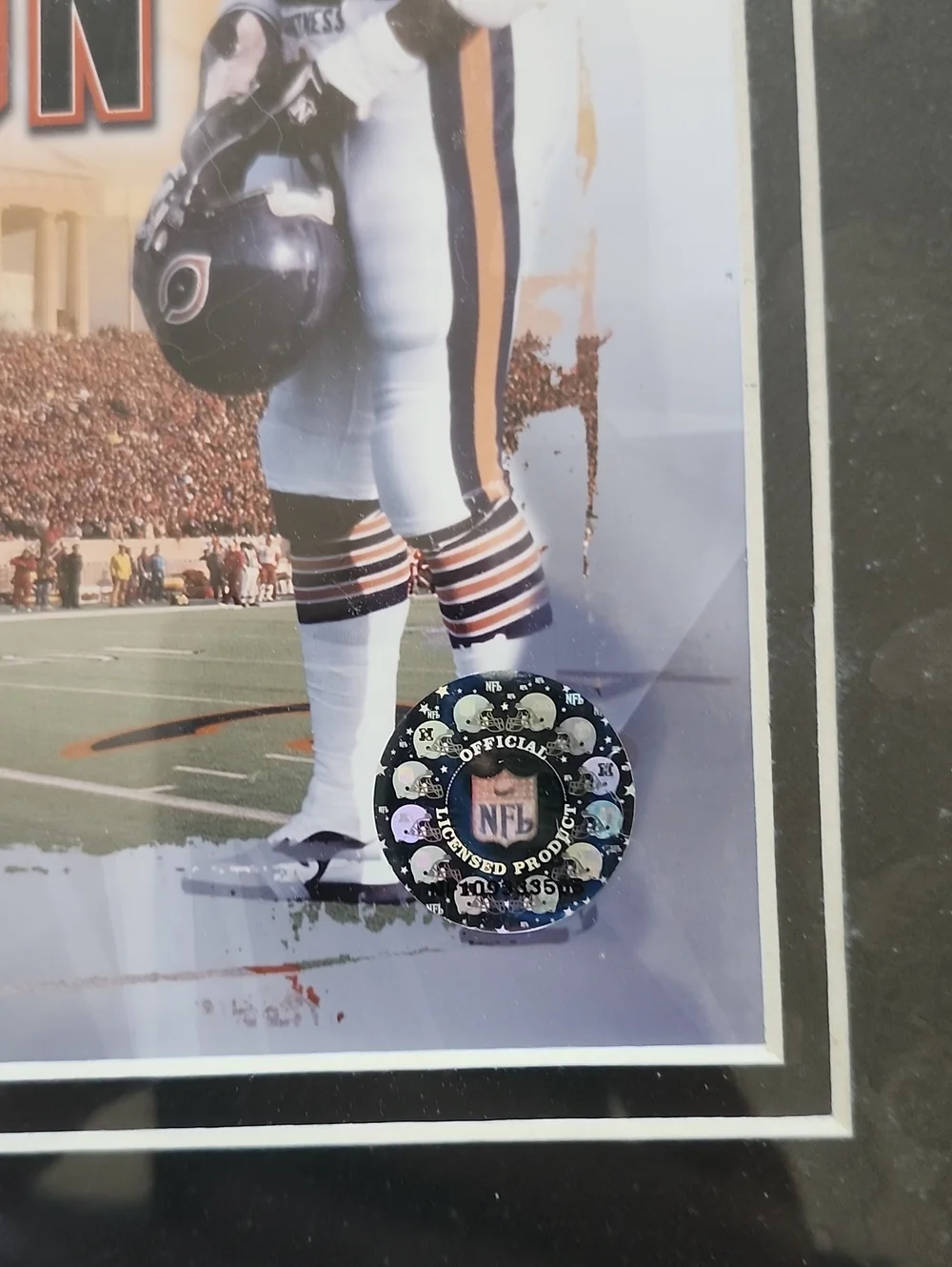 Walter Payton Framed Sports Wall Decor - Official NFL photo